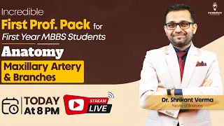 Anatomy - Maxillary Artery & Branches by Dr. Shrikant Verma | Cerebellum Academy