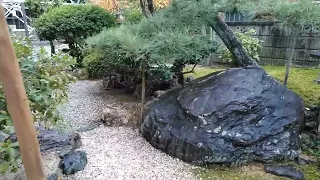 japanese garden of home