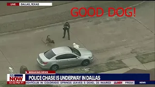 Wild Dallas Police Chase with K9 Dog - November 21, 2022