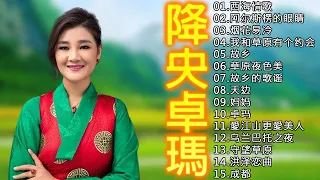 降央卓瑪 Jamyang Dolma - 迷人的草原歌曲《西海情歌 / 我和草原有个约会 / 烟花易冷 /故乡的歌谣/故乡》Best Songs Of Jamyang Dolma