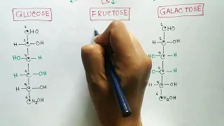 Carbohydrates : Monosaccharides | Glucose | Fructose | Galactose