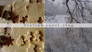 Baking gingerbread biscuits on a snowy day | Italian rural vlog | Silent vlog | Slow living