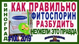 🍇 Как РАЗБУДИТЬ ФИТОСПОРИН правильно? Почему спит сенная бактерия или сенная палочка.