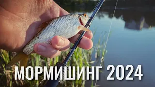 Мормишинг 2024. Ловля плотви та краснопірки спінінгом на мормишку