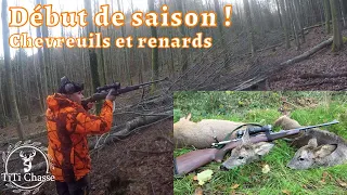 Battues aux gros gibiers - chevreuils  et renards ! début de saison 2019/20