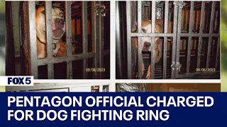 Pentagon official charged for dog fighting ring