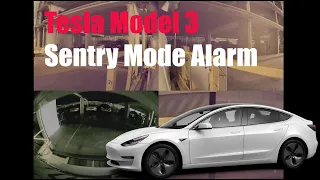 Tesla Model 3 Sentry Alarm Demo : Parking Garage Mishap