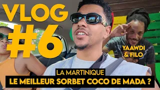 LA MARTINIQUE : On a rencontré YAAWDI & FILO avec un sorbet coco de dingue | Vlog 6