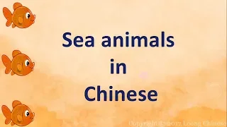 Sea animals in chinese. List of words. 海洋动物