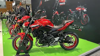 New 10 Kawasaki Z Edition Motorcycles at Vive la Moto 2022 Madrid