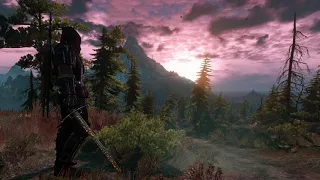 The Witcher 3: Wild Hunt OST • Fields of Ard Skellige (1 hour)