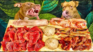 ASMR MUKBANG DOG EATING RAW FOODS HORSE MEAT