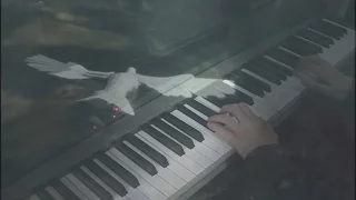 Battlefield 1 - Flight of the Pigeon (Piano cover + SHEET MUSIC)