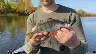 Окунь клевал даже в отвес...Южноуральское водохранилище