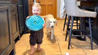 Adorable Baby Boy Steals Golden Retriever's Food! They're So Cute!!