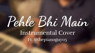 Pehle Bhi Main | Instrumental Cover | Vishal Mishra | Animal