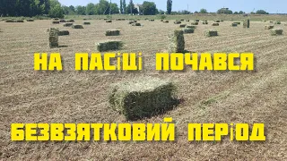 ✅Як уникнути просідання сімей під час безвзятковго періоду?