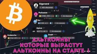 Биткоин прогноз на сегодня, Альткоины которые вырастут.