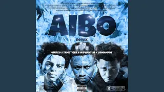 Aibo (feat. Usimamane, Oliphantom & Tame Tiger) (Remix)