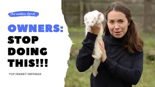Mistakes New Ferret Owners Make - UPDATED Top 10 List