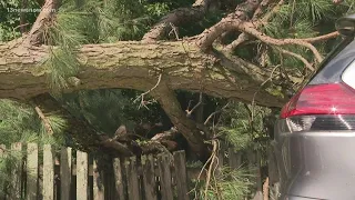 Suffolk residents describe chaotic winds when Tropical Storm Elsa passed through