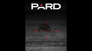 HOG CONTROL w/ PARD NV008P #hoghunting #nightvision #huntingvideos #invasivespecies