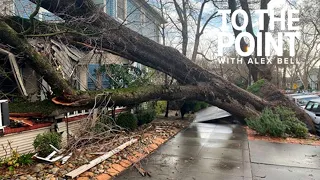 Sacramento trees: What to do if you tree falls following a storm | To The Point