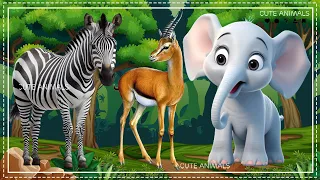 Lovely Animal Sounds: Zebra, Antelope, Elephant | Animal Moments