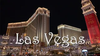 Things to do in Las Vegas: 1 Day Travel Guide