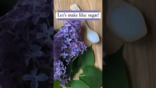 Lilac sugar 🌸 wash & combine blossoms and sugar and you’ve got the prettiest DIY gift #shortsvideo