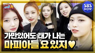 [Tikita CAR] #ITZY Self-Cam?? 'Trying to hide but it sticks out Sorry Not Sorry'/'TikitaCAR'|SBSNOW