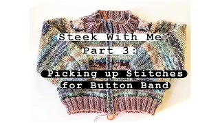 Steek With Me -  Part 3: Picking Up For the Button Band