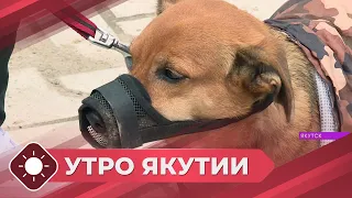 Утро Якутии: Новые правила выгула собак (07.05.24)