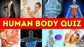 Human Body Quiz - 30 Trivia Questions - Questions and Answers - Test your Knowledge - Quiz Questions