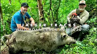 JAEGER TRACKS : AUGUST 2020 WILD BOAR RECOVERY