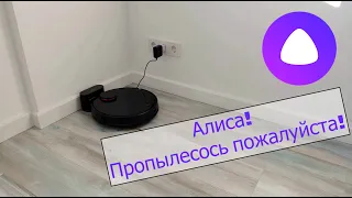 Алиса управляет роботом-пылесосом!