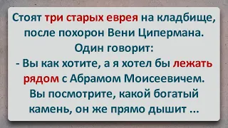 ✡️ Три Старых Еврея на Кладбище! Еврейские Анекдоты! Анекдоты про Евреев! Выпуск #144