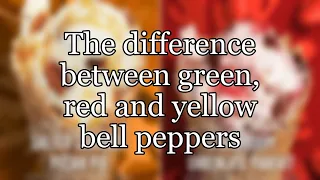 The difference between green, red and yellow bell peppers