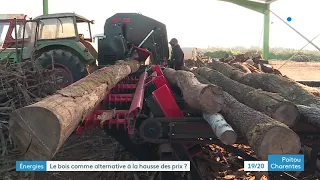 Énergies : le bois comme alternative à la hausse des prix ?