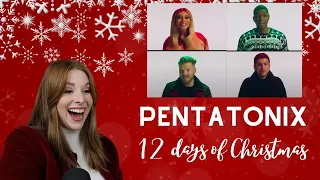 Danielle Marie reacts to Pentatonix "12 days of Christmas" Day 1: Fa-la-la-idays