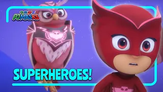 Heroic Animals Take the Wheel! | Superheroes | PJ Masks