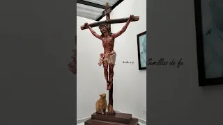 Gatito inclina su cabeza al ver a Jesús #shorts #short #humor