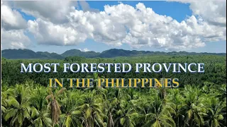 FOREST COVER BY PROVINCE IN THE PHILIPPINES | STATSPH VIDEOS