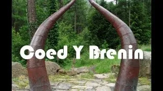 Coed Y Brenin - The Beast (No Music)