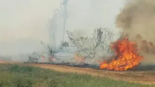 Пожар в заповеднике Кармия