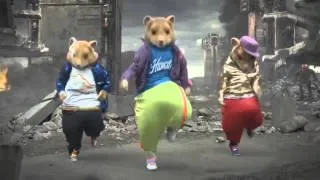 2011 MTV KIA Commercial Parody - Hamster Dance (The Boomtang Boys)