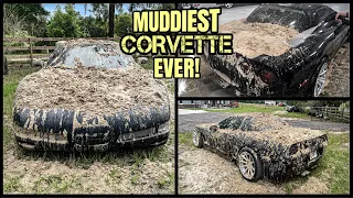Deep Cleaning The Muddiest C5 Corvette EVER! | Insane Satisfying Disaster Detail Transformation!
