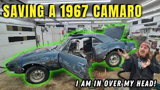 FORGOTTEN 1967 Camaro - Can We Save This Rotten Pony Car?