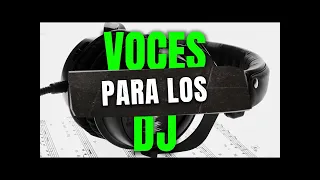 VOCES PARA DJ 2024