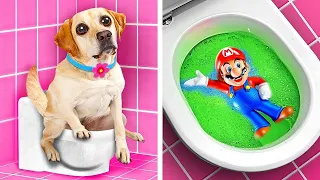 Super Mario Uses Toilet Gadgets! Homeless Dog Was Adopted by Mario | Hacks for Pet Owners by TeenVee